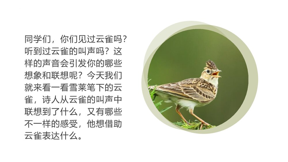 《致云雀》高中语文必修一PPT课件下载2