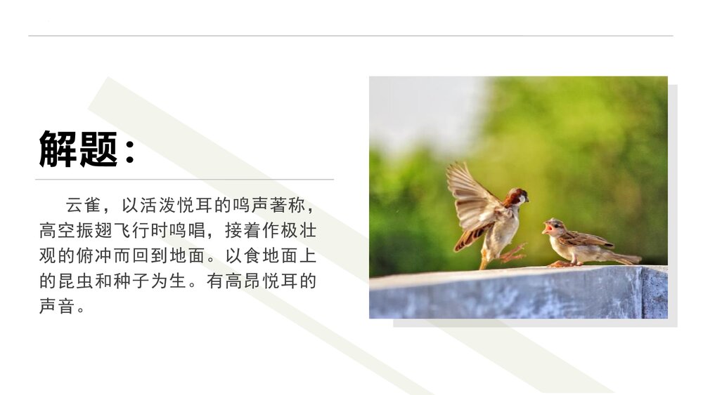 《致云雀》高中语文必修一PPT课件下载10