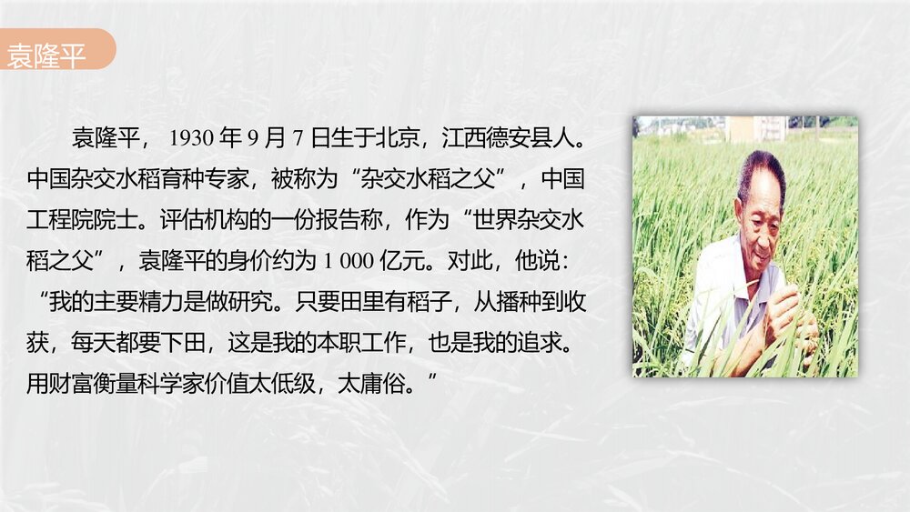《喜看稻菽千重浪》高中语文必修上册PP课件(第二单元·第4课)10