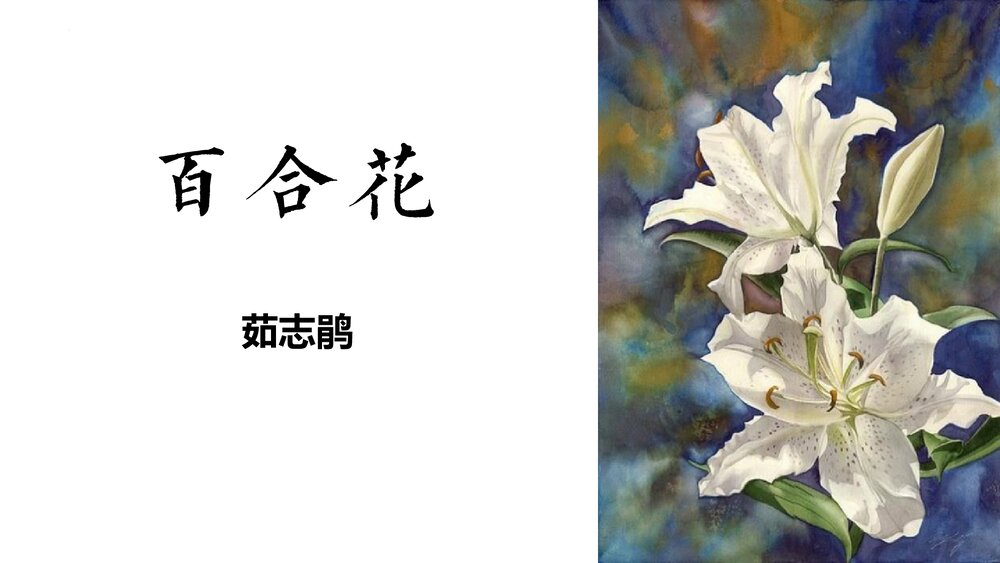 《百合花》统编版高中语文必须一PPT课件(第一单元·第3课)1