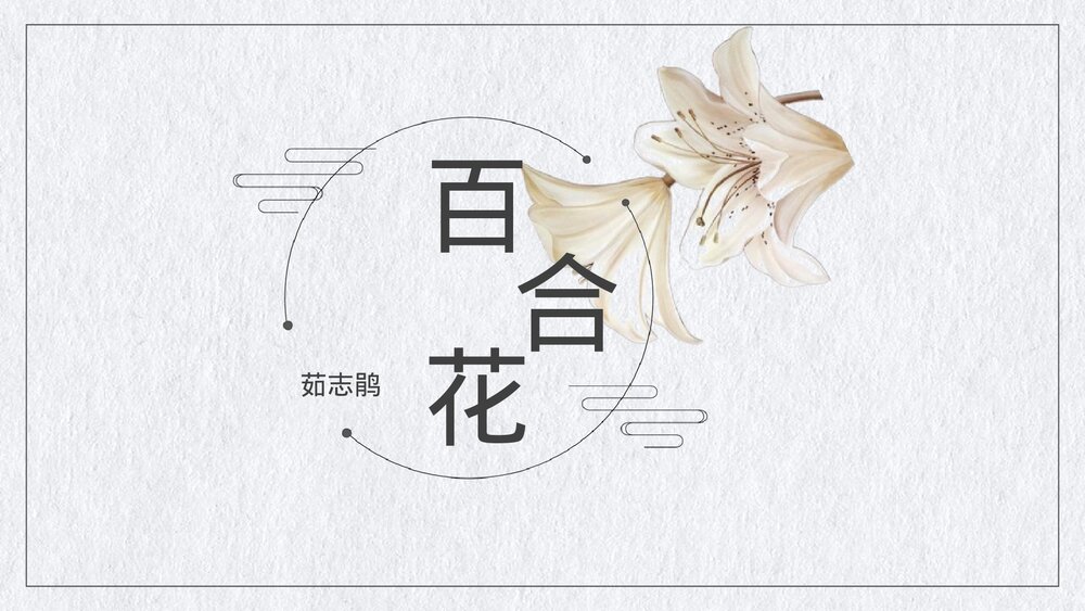 《百合花》高中语文必修一PPT课件1