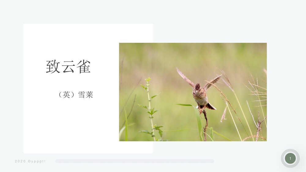 《致云雀》高中语文统编版必修一PPT课件1