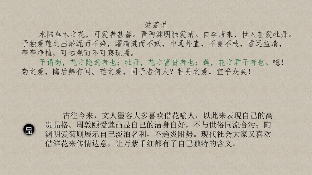 高中语文必修一 《百合花》PPT优质课件2
