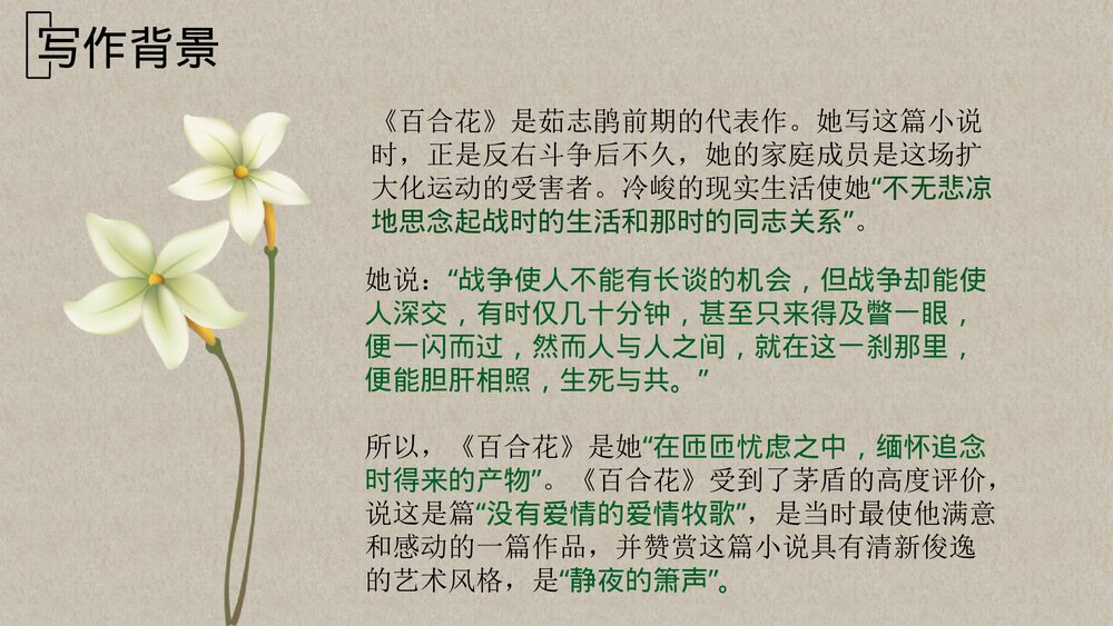 高中语文必修一 《百合花》PPT优质课件5