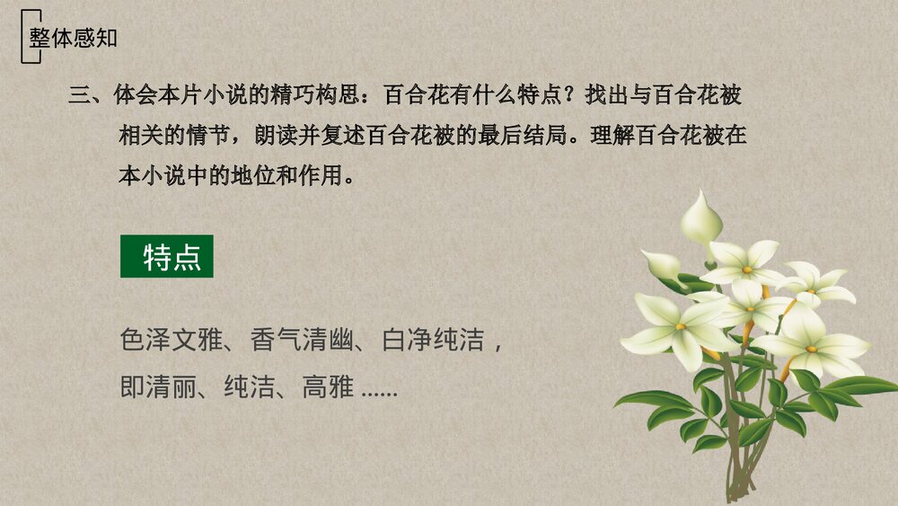 高中语文必修一 《百合花》PPT优质课件8