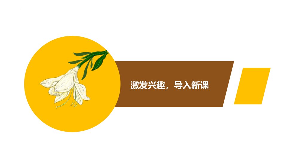 部编版高中语文必须上册《百合花》PPT课件(第一单元·第3课)6