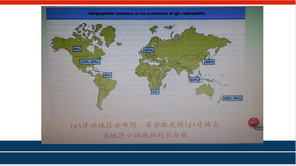 IgA肾病PPT课件下载8