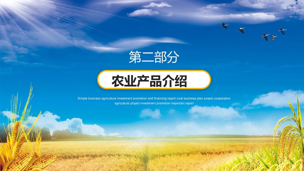 金色稻田背景的农业招商融资报告PPT模板10