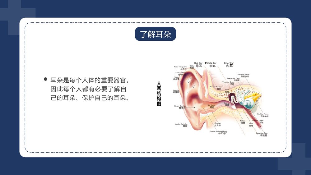 全国爱耳日注听力健康公益活动教育宣传PPT课件下载10