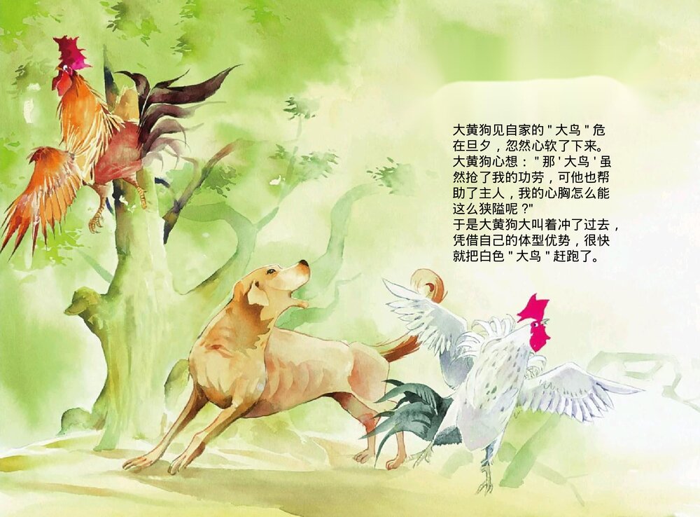 幼儿园小学生儿童十二生肖《鸡》绘本故事ppt课件7