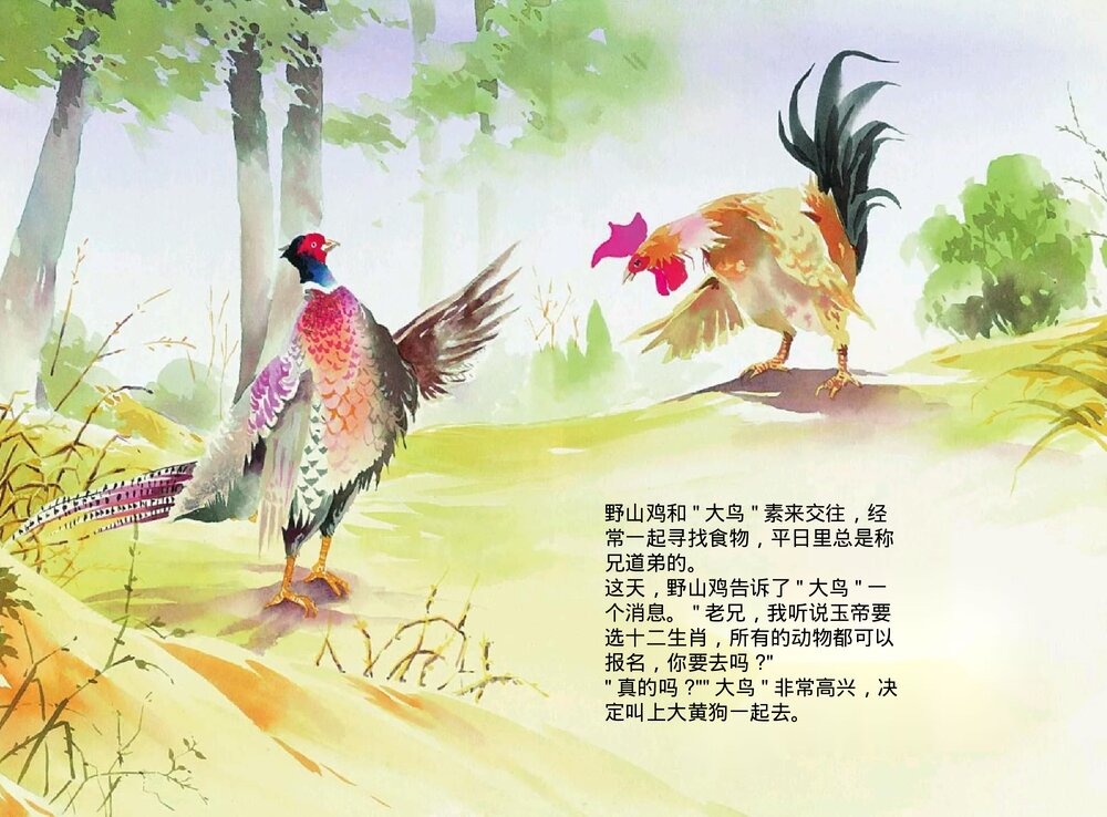 幼儿园小学生儿童十二生肖《鸡》绘本故事ppt课件8
