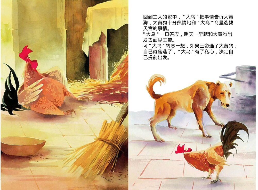 幼儿园小学生儿童十二生肖《鸡》绘本故事ppt课件9