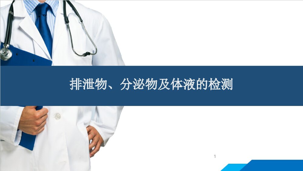 尿常规和沉渣检查PPT课件下载1