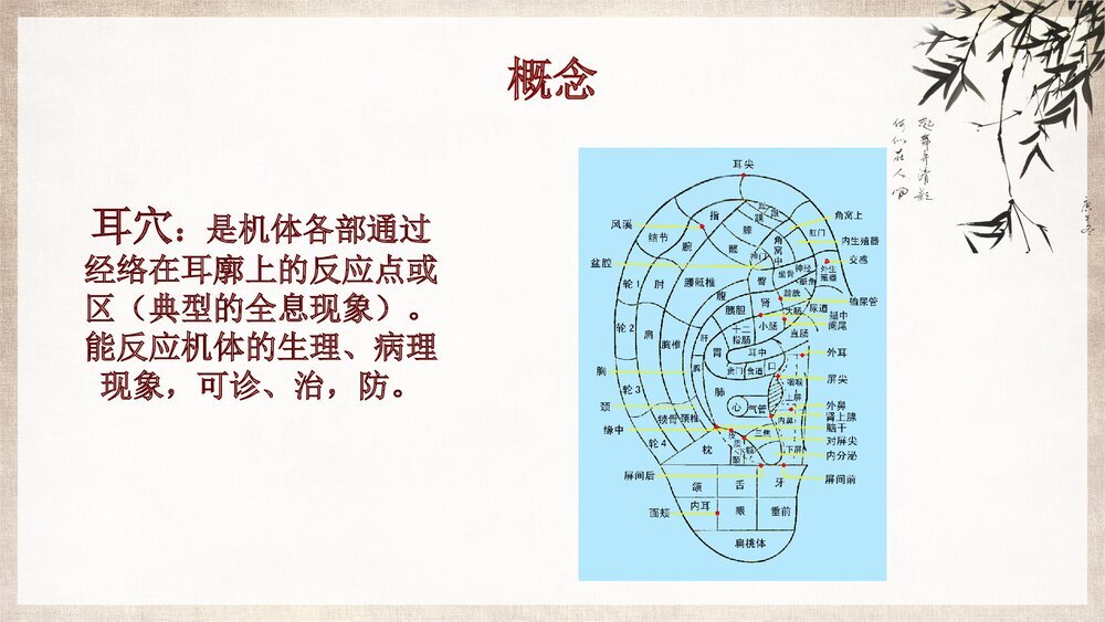 中医护理耳穴压豆PPT课件下载ppt4