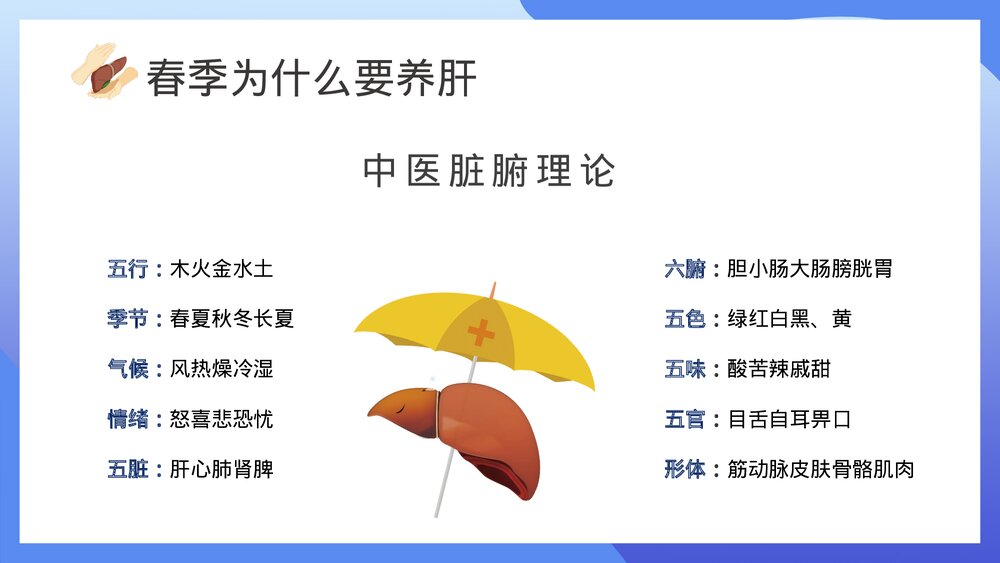 中医养生春季养肝知识讲座PPT课件下载7