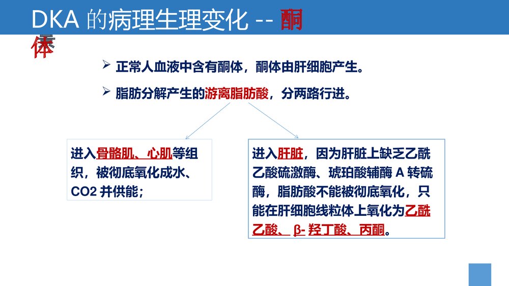 糖尿病酮症酸中毒的诊治PPT课件下载8
